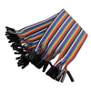 Firgelli Robots 40 Pin Paralled Rainbow Cable with Housing - Pitch: 2.54mm / F-F / F-M