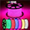 Firgelli Robots Flexible 5050 SMD LED Strip - Single color emitting