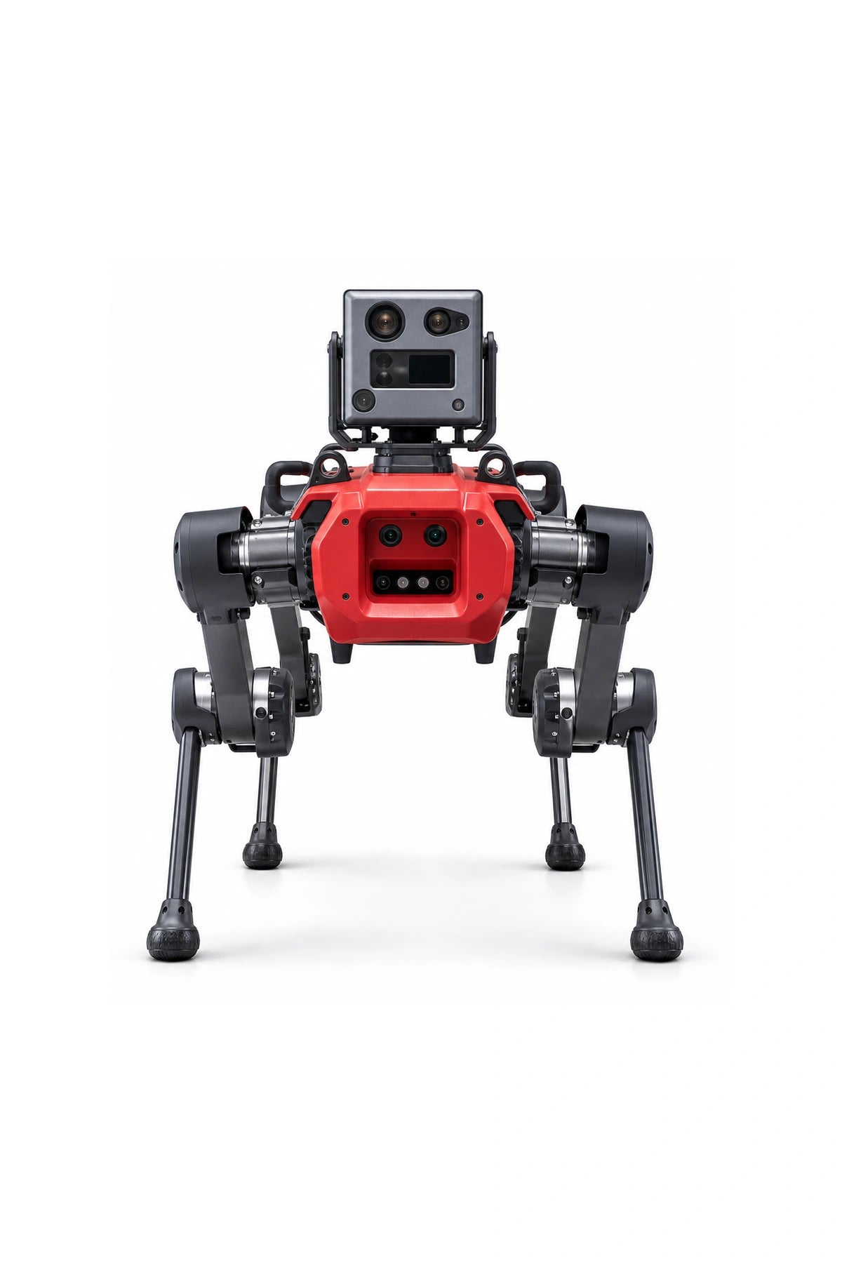ANYmal robot