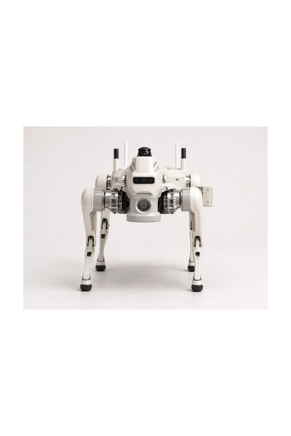 Ff Aegis Advanced Quadruped robot