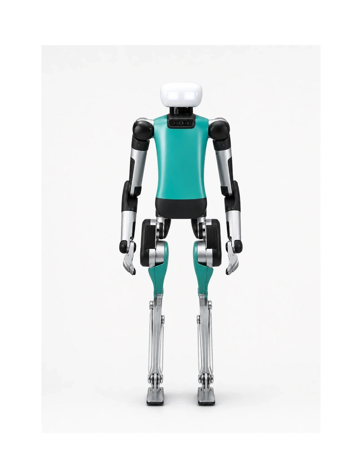 Digit robot