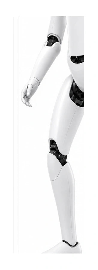 CyberOne Arm and leg detail