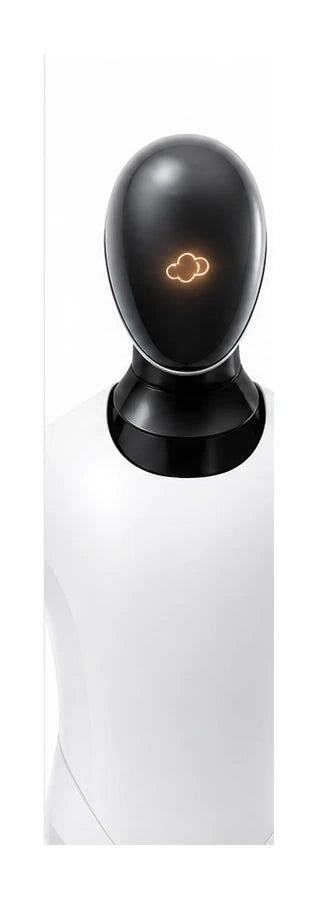 CyberOne Head/Torso View