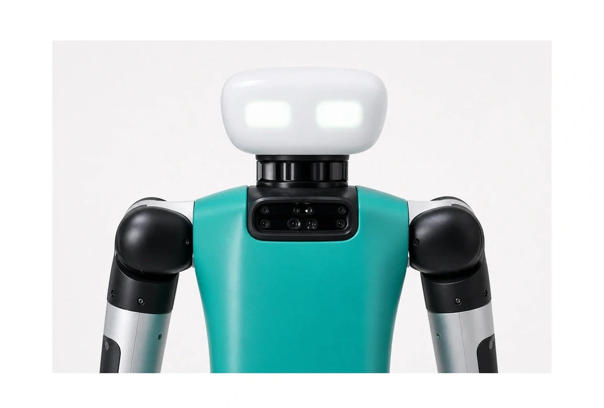 Digit Head and torso