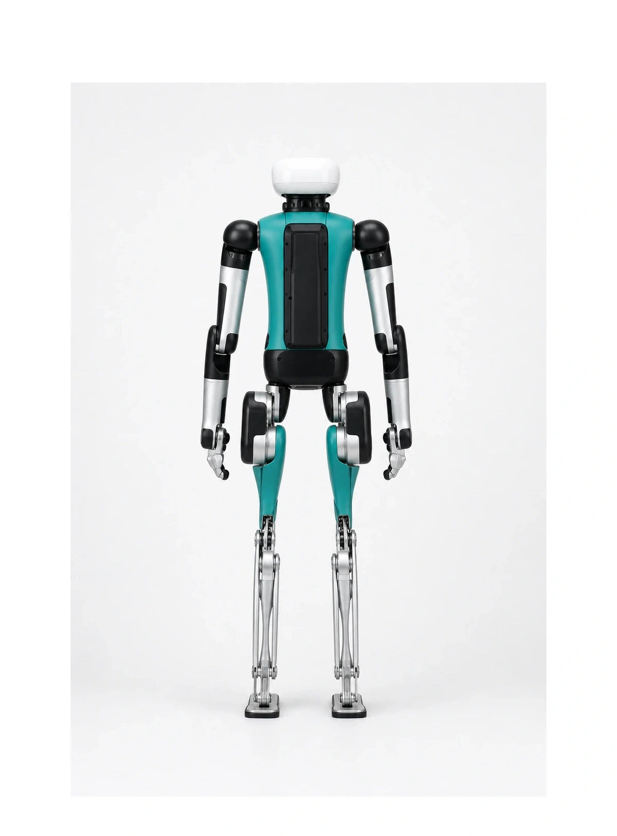 Digit Rear/Back View