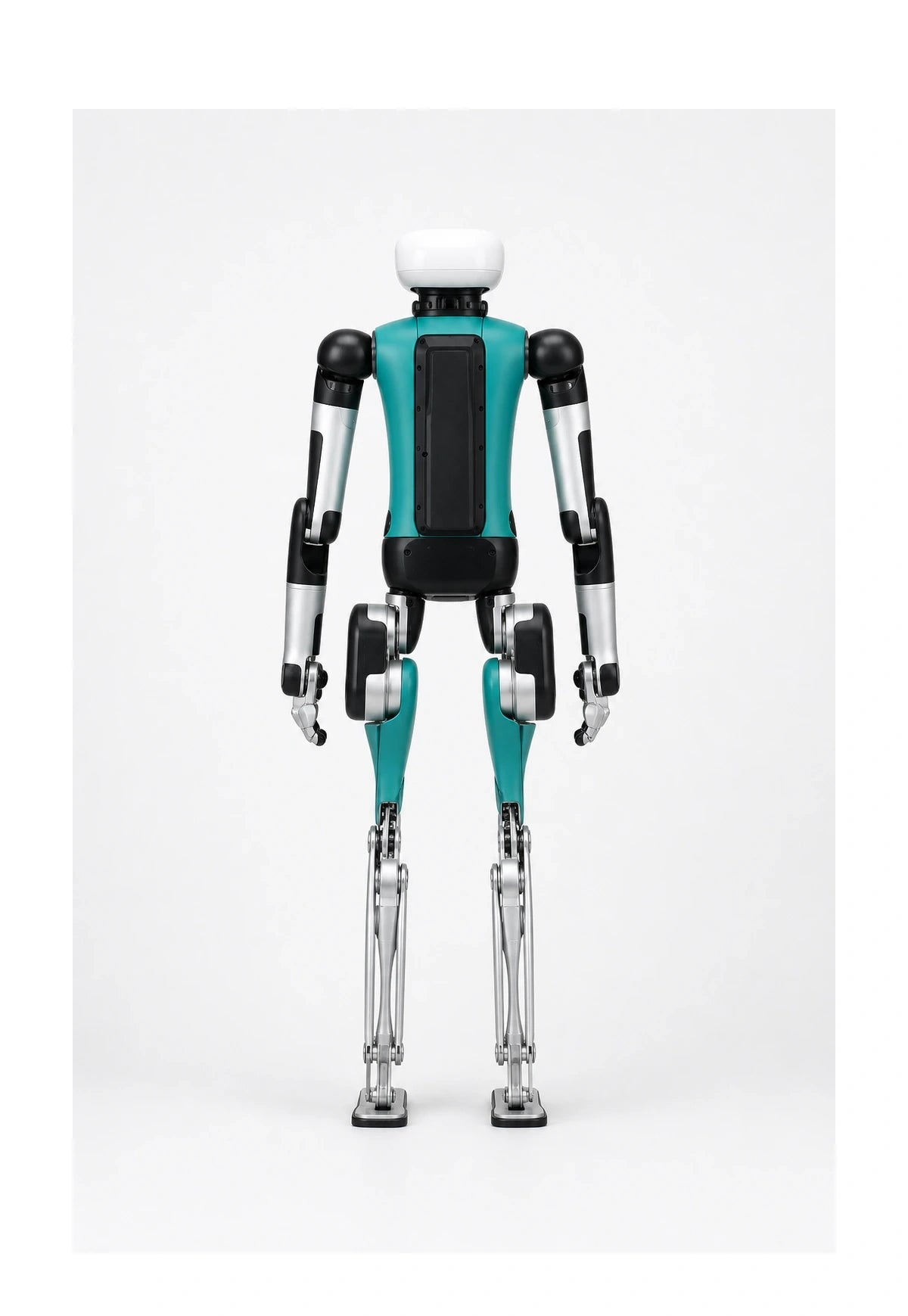 Digit Rear/Back View