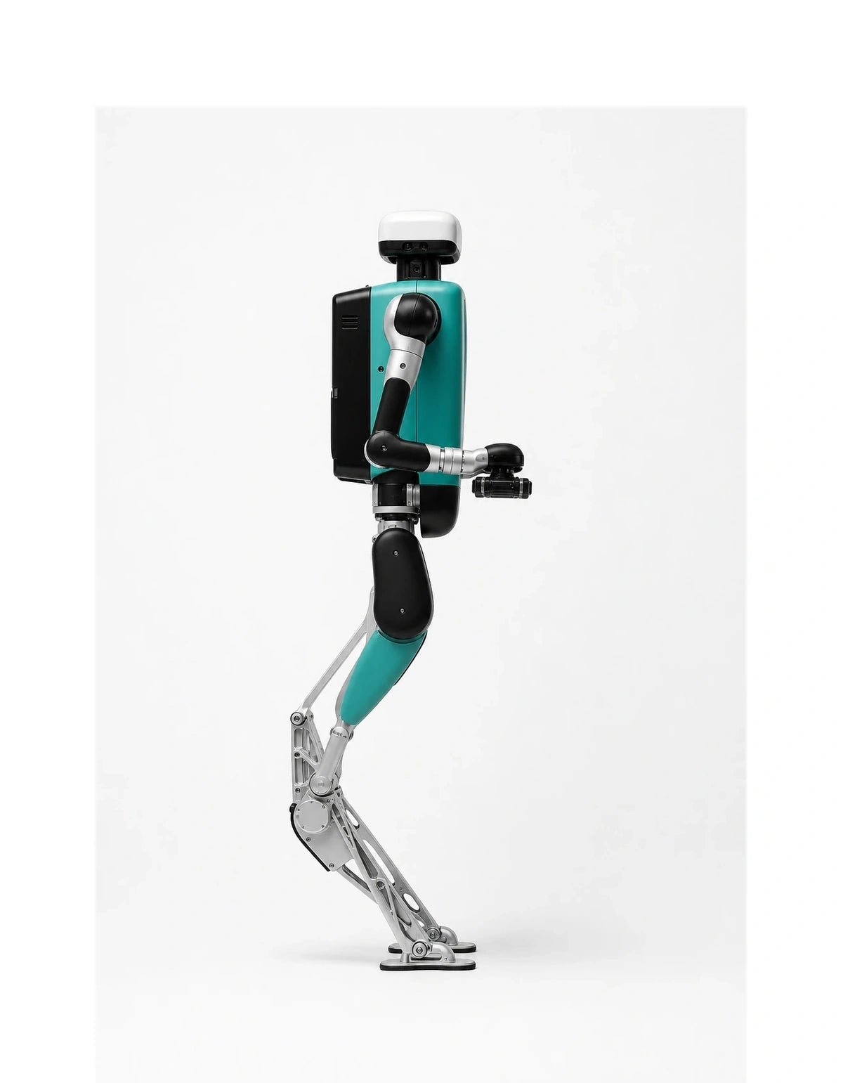 Digit Side View