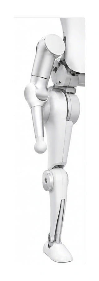 N2 Arm + Leg View
