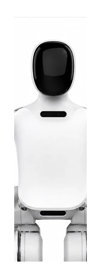N2 Head/Torso View
