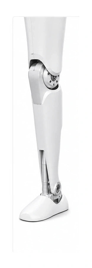 N2 Leg detail