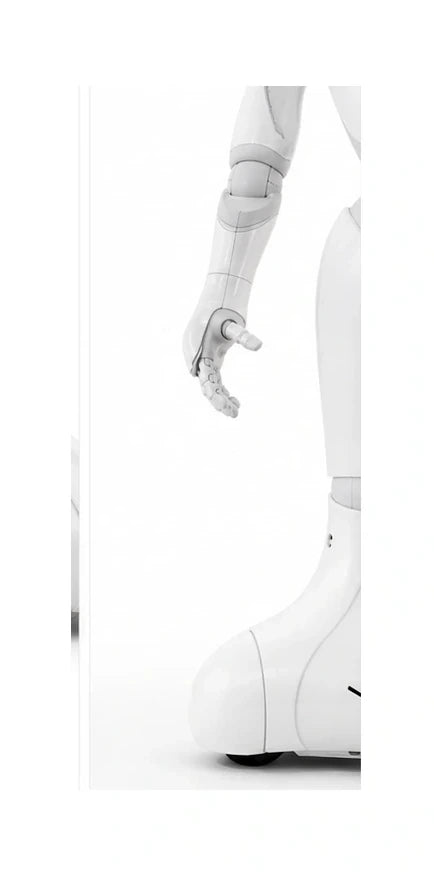 Pepper Arm + Leg View