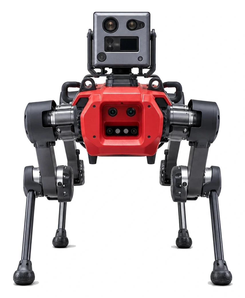 ANYmal robot
