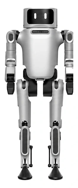 Dora robot