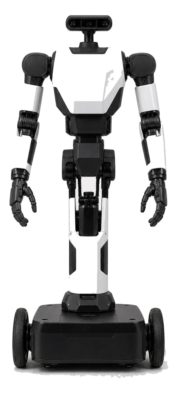Rb Y1 robot