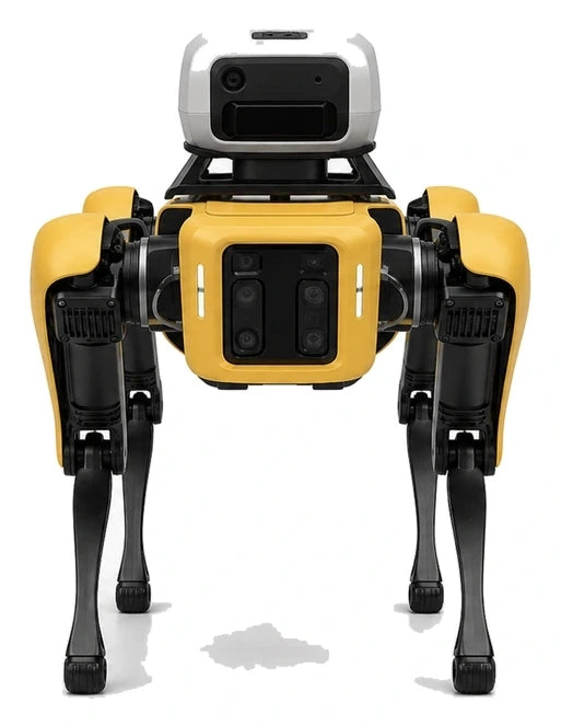 Spot robot