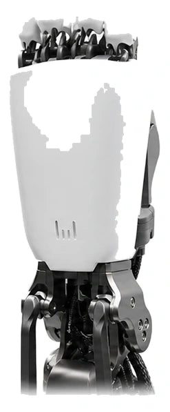 Allex Head/Torso View