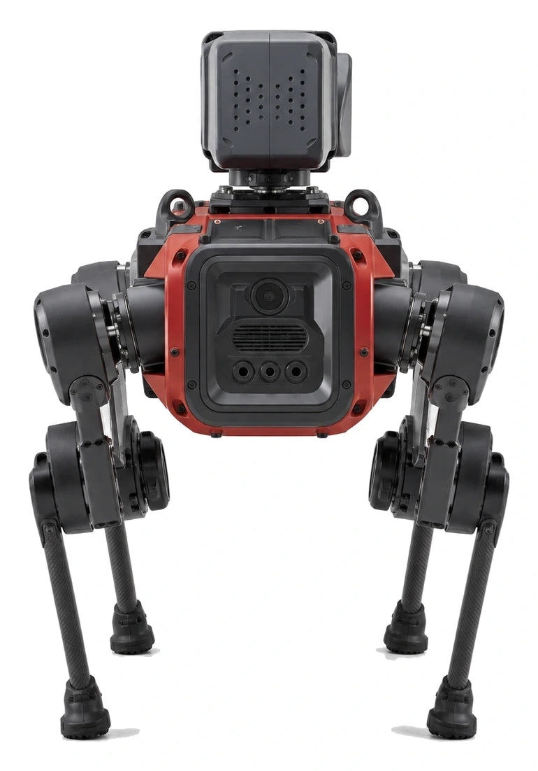 ANYmal Rear/Back View