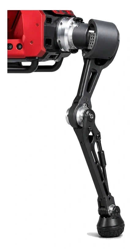 ANYmal Rear/Back View