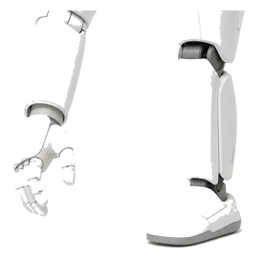 ASIMO Arm + Leg View