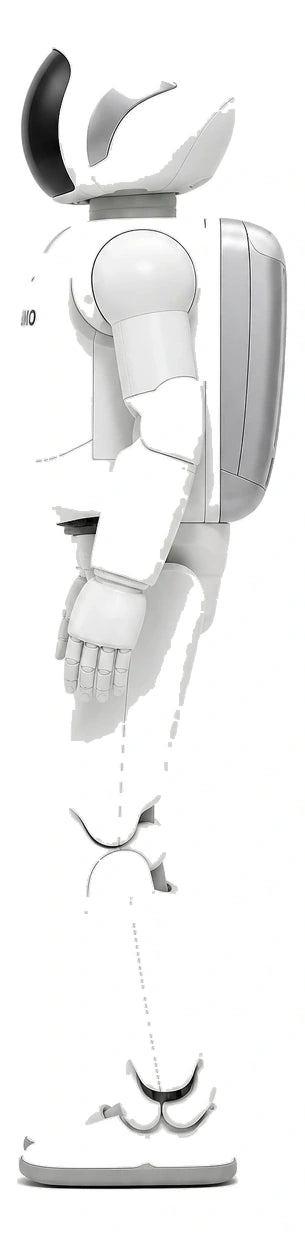 ASIMO Side View