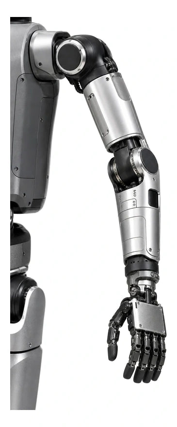 Atlas Arm View