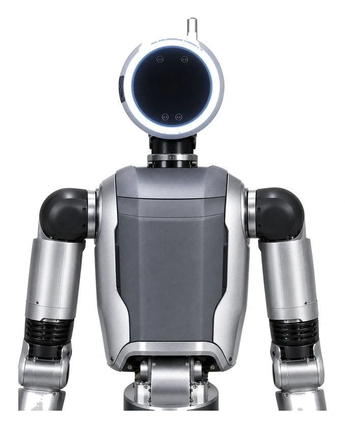 Atlas Head/Torso View