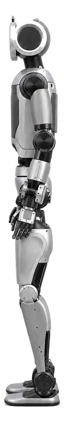 Atlas Side View