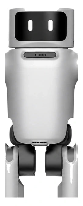 Dora Head/Torso View