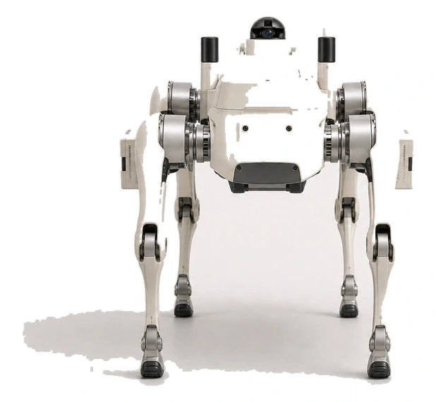 Ff Aegis Advanced Quadruped Rear/Back View