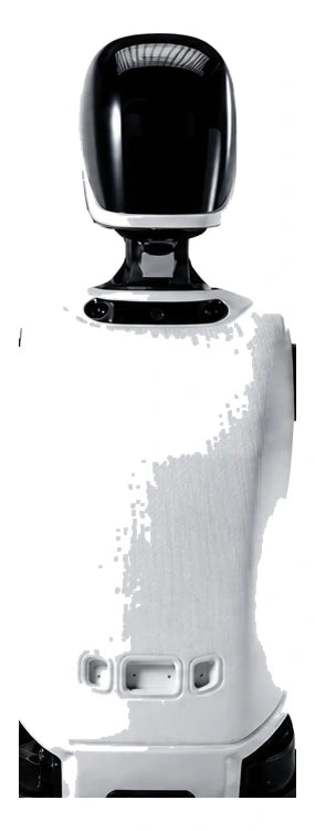 Ff Futurist Head/Torso View
