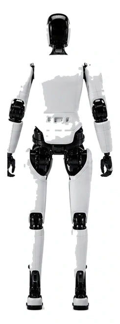 Ff Futurist Rear/Back View