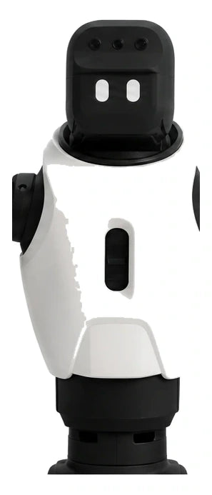 Ff Master Head/Torso View