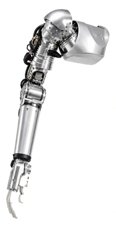 Figure 01 Arm View