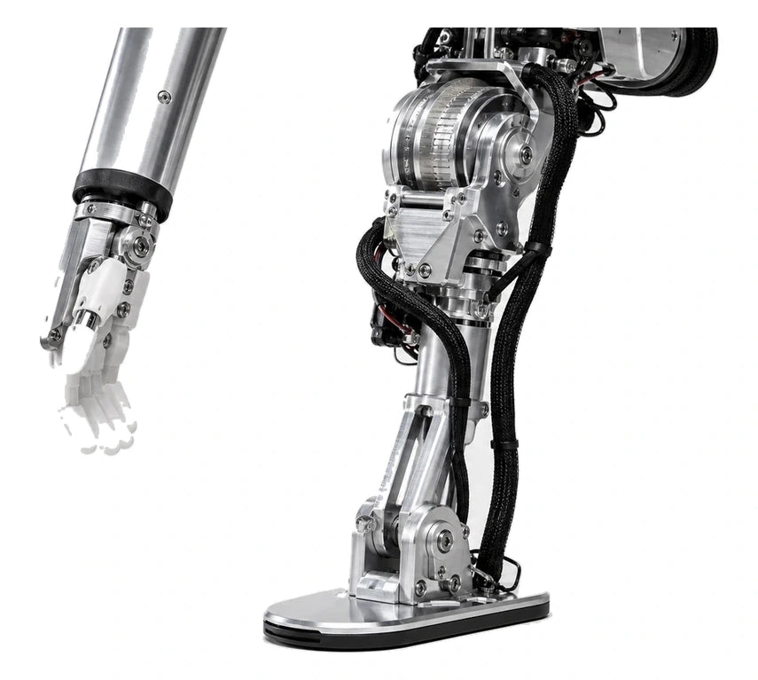 Figure 01 Arm + Leg View