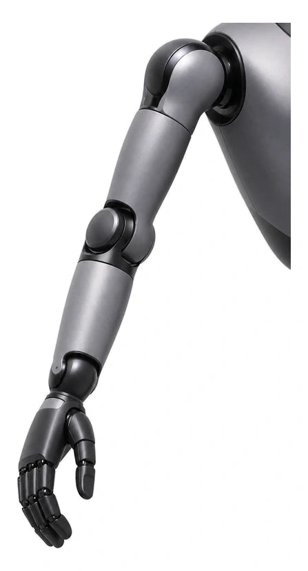 Gr 2 Arm View