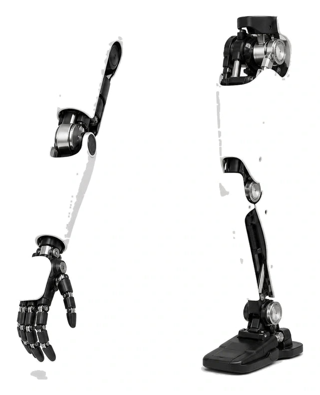 Hmnd 01 Arm + Leg View