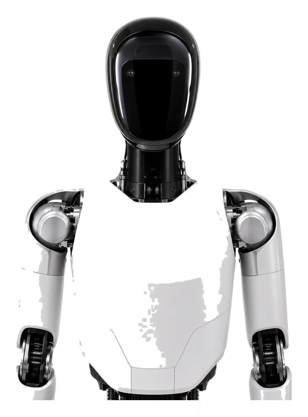 Hmnd 01 Head/Torso View
