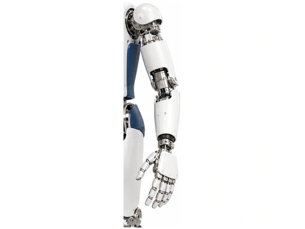 iCub Arm View