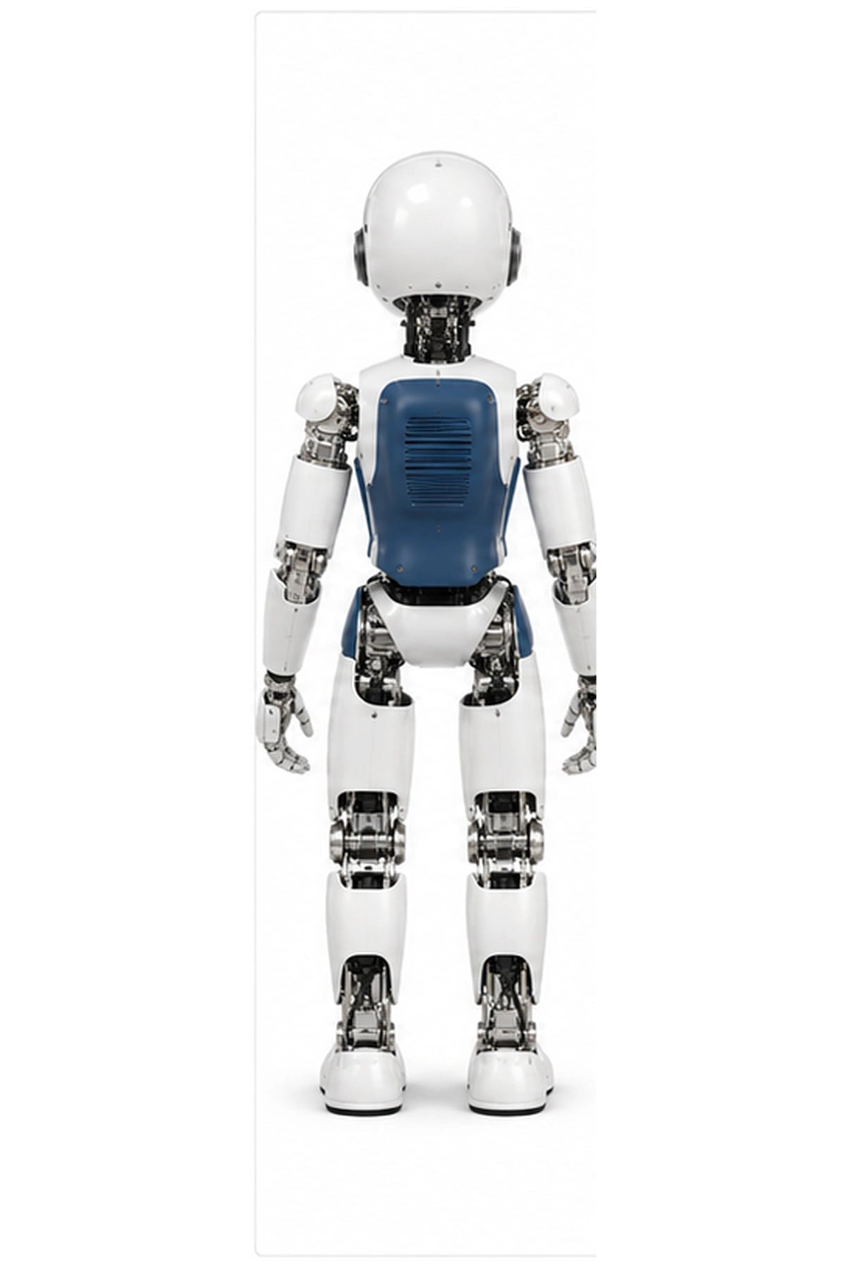 iCub Rear/Back View