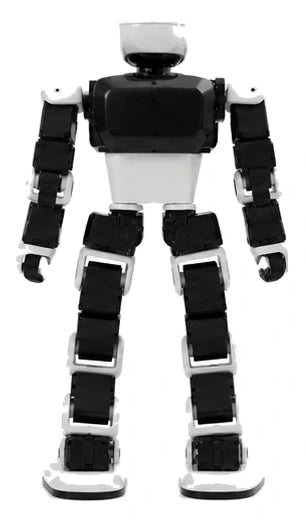 K1 Geek Rear/Back View