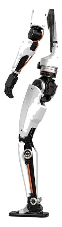 Limx Arm + Leg View