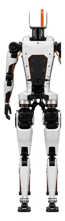 Limx Rear/Back View