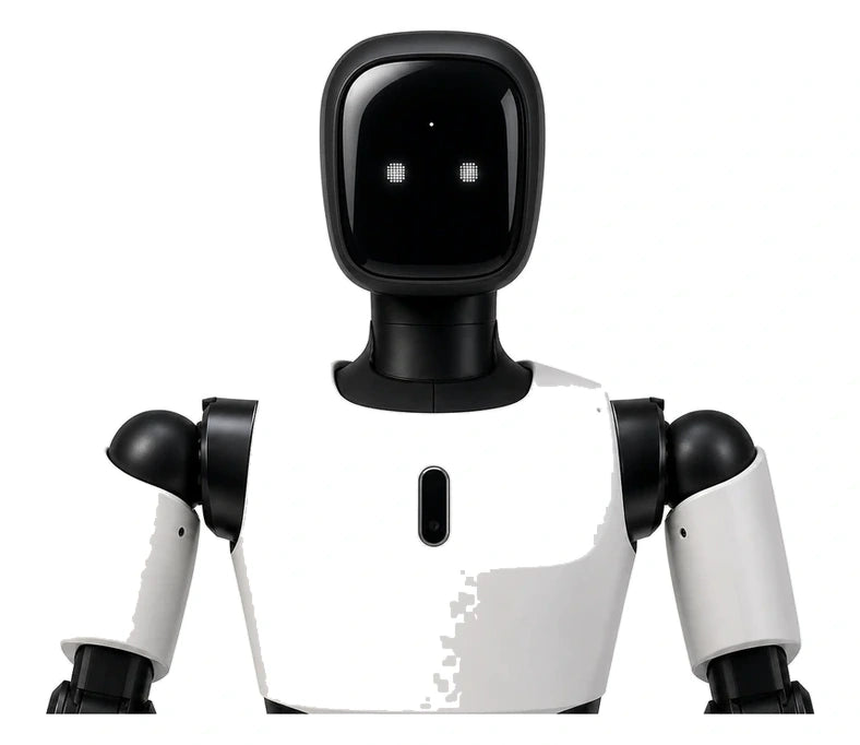 Menteebot Head/Torso View