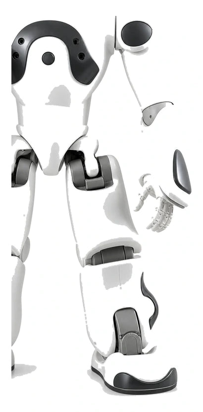 NAO Arm + Leg View