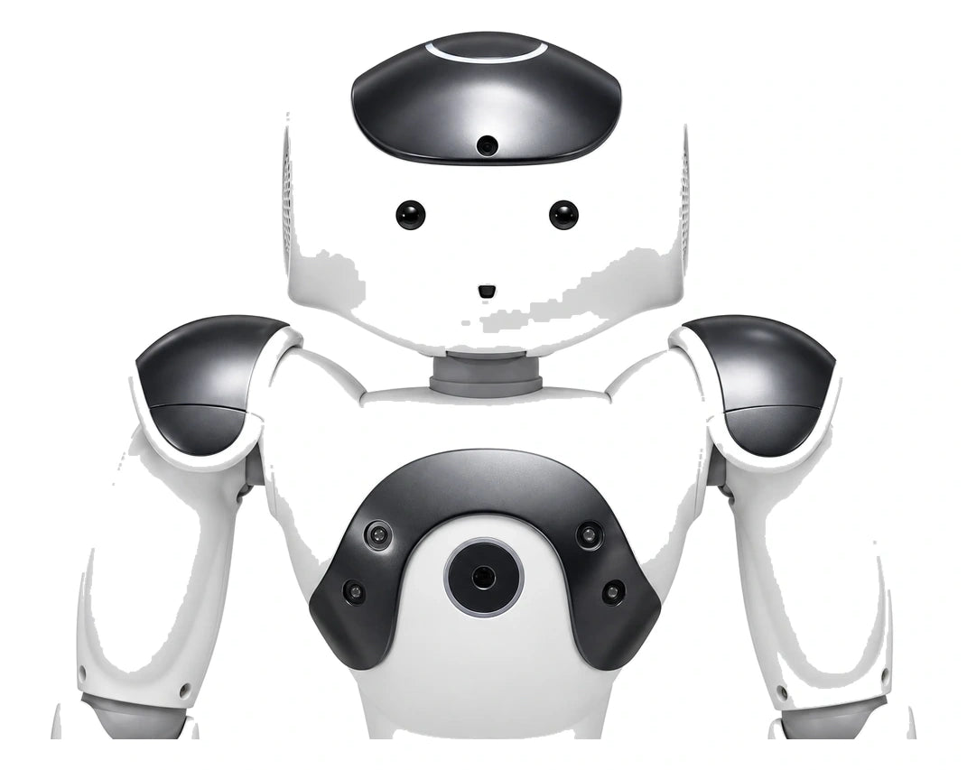NAO Head/Torso View