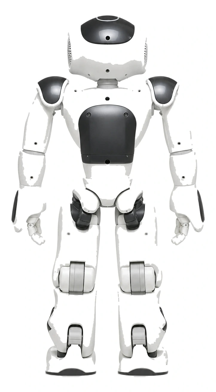 NAO Rear/Back View