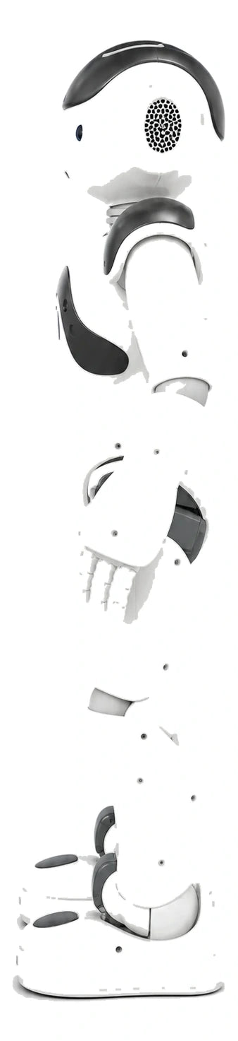 NAO Side View