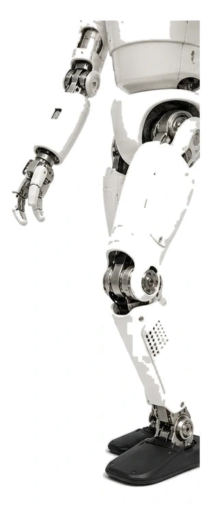 NimbRo-OP2X Arm + Leg View
