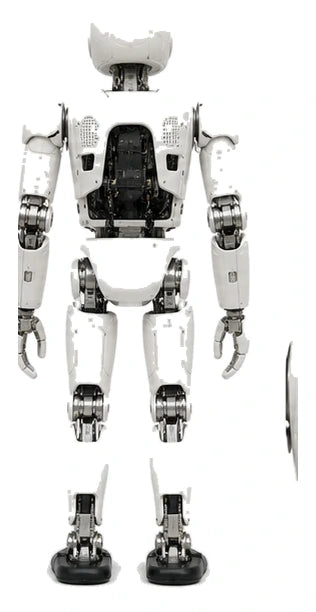NimbRo-OP2X Rear/Back View