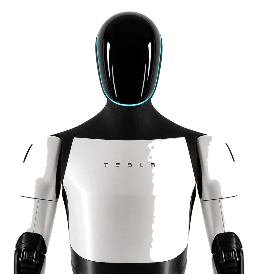 Tesla Optimus Head/Torso View